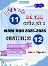 Tuyển tập 11 Đề thi giữa kì 2 năm học 2025-2026 môn Sinh học 12 CTST (Kèm đáp án)